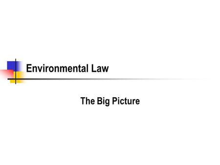 Environmental Law The Big Picture. Exam Preparation Strategy Read the book, carefully. Most of the chapters have one or two problems. (These are called.