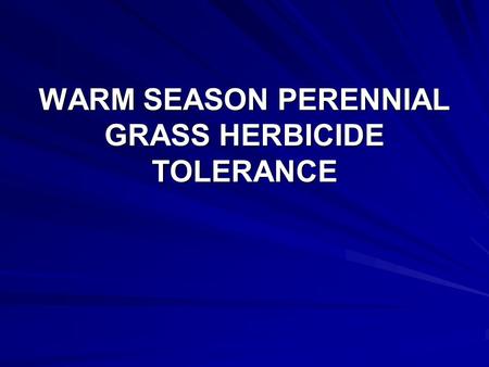 WARM SEASON PERENNIAL GRASS HERBICIDE TOLERANCE. Herbicide Trial 2008.