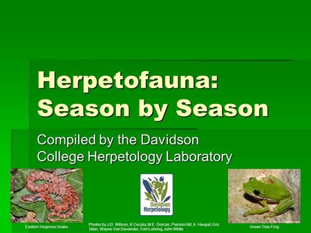 Herpetofauna: Season by Season