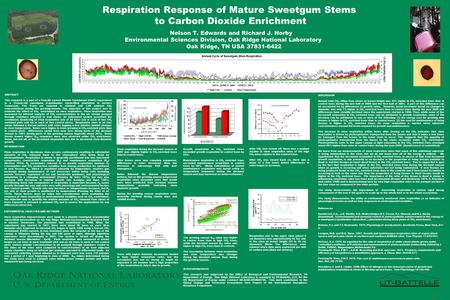 1 Respiration Response of Mature Sweetgum Stems to Carbon Dioxide Enrichment Nelson T. Edwards and Richard J. Norby Environmental Sciences Division, Oak.