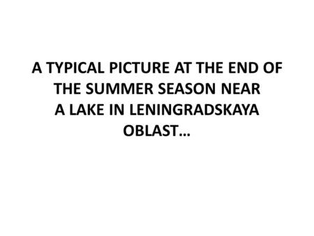 A TYPICAL PICTURE AT THE END OF THE SUMMER SEASON NEAR A LAKE IN LENINGRADSKAYA OBLAST…