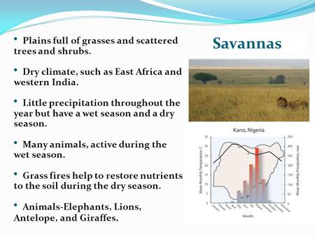 Savannas Plains full of grasses and scattered trees and shrubs.