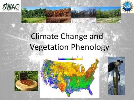 Climate Change and Vegetation Phenology