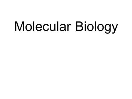 Molecular Biology. 2 Genetics = Information Flow Transmission Genetics = Classical Genetics = information flow between generations Molecular Biology =