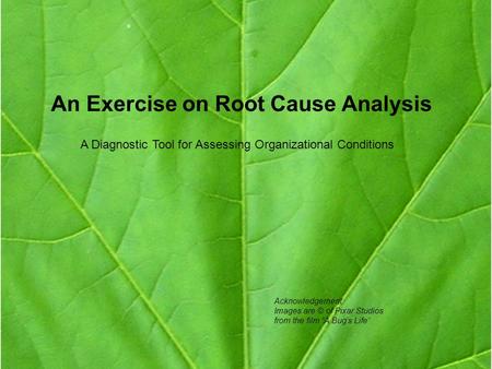 An Exercise on Root Cause Analysis A Diagnostic Tool for Assessing Organizational Conditions Acknowledgement: Images are © of Pixar Studios from the film.