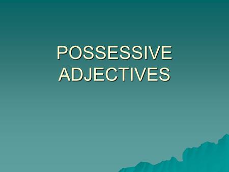 POSSESSIVE ADJECTIVES