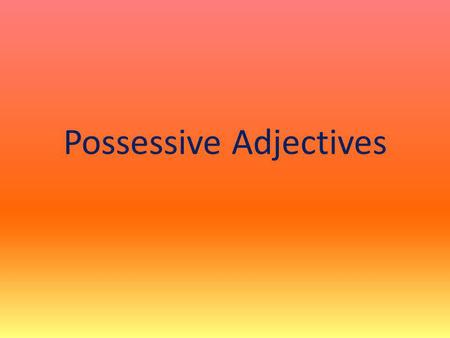 Possessive Adjectives