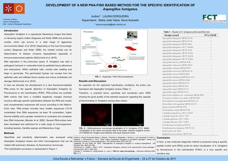 Conclusion In here, a new molecular diagnostic method is proposed using a specific peptide nucleic acid (PNA) probe for direct visualization of A. fumigatus.