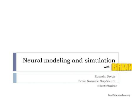 Neural modeling and simulation