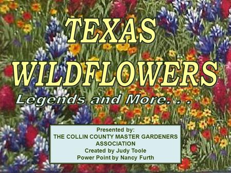 1 Presented by: THE COLLIN COUNTY MASTER GARDENERS ASSOCIATION Created by Judy Toole Power Point by Nancy Furth.