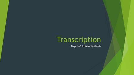 Step 1 of Protein Synthesis