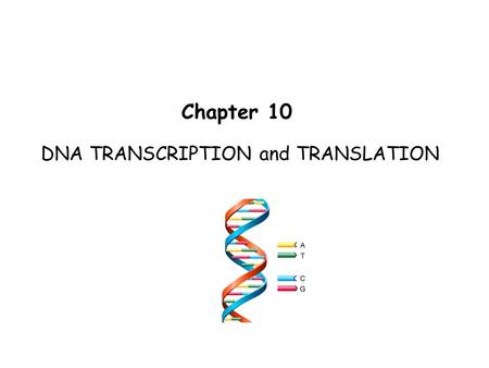 DNA TRANSCRIPTION and TRANSLATION