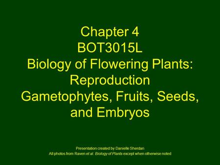 Chapter 4 BOT3015L Biology of Flowering Plants: Reproduction Gametophytes, Fruits, Seeds, and Embryos Presentation created by Danielle Sherdan All photos.