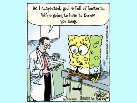 Wednesday, May 4 th : “A” Day Thursday, May 5 th : “B” Day Agenda  Lab Calculations: “Percent Composition of Hydrates”  Collect Lab  Movie: “Strong.