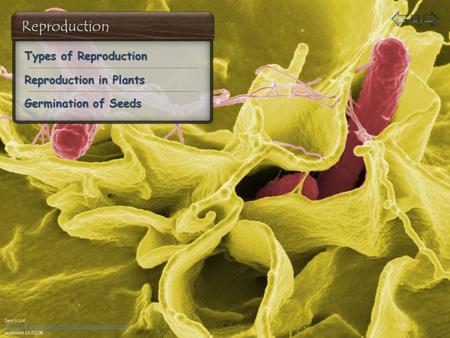 Sam’s List  accessed 11.03.08 Reproduction in Plants Reproduction in Plants Types of Reproduction.