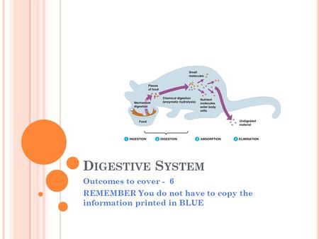 D IGESTIVE S YSTEM Outcomes to cover - 6 REMEMBER You do not have to copy the information printed in BLUE.