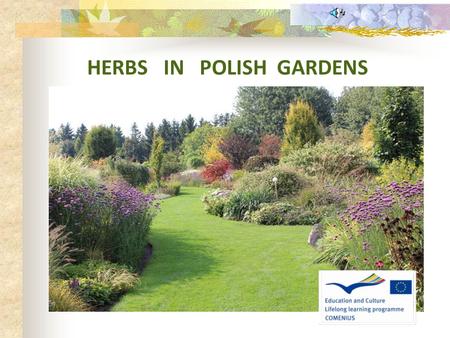 HERBS IN POLISH GARDENS. Herbs can be a beautiful decoration of our gardens and they also constitute a,,pantry” of flavors and aromas. Besides, they can.