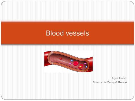 Dejan Tkalec Mentor: A. Žmega č Horvat Blood vessels.