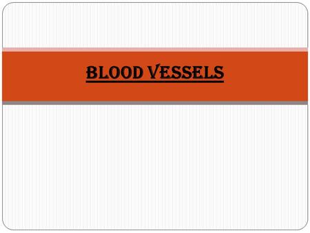 BLOOD VESSELS.