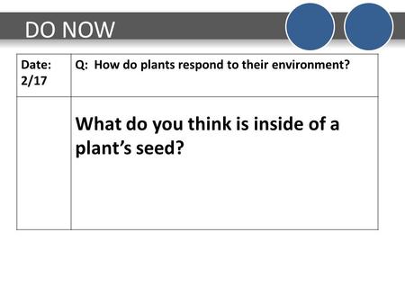 DO NOW What do you think is inside of a plant’s seed? Date: 2/17