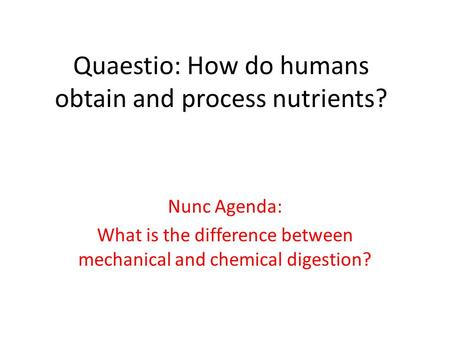 Quaestio: How do humans obtain and process nutrients?