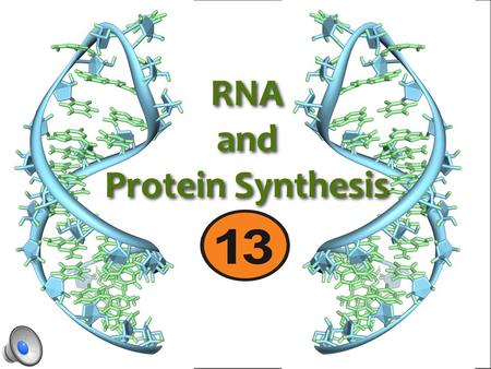 RNA and Protein Synthesis