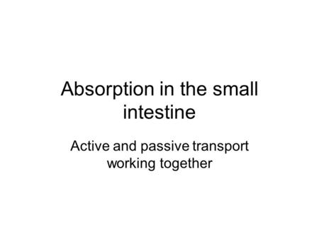 Absorption in the small intestine