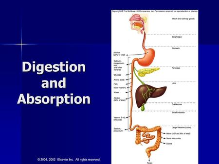 Digestion and Absorption