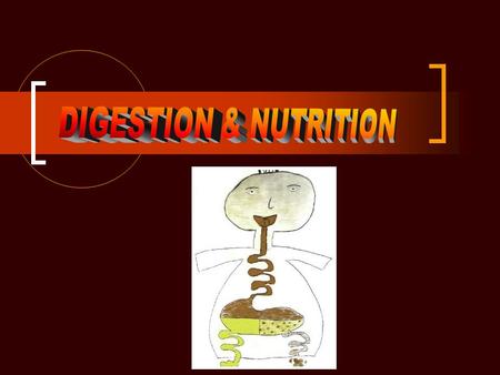 DIGESTION & NUTRITION.