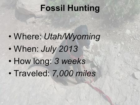 Fossil Hunting Where: Utah/Wyoming When: July 2013 How long: 3 weeks Traveled: 7,000 miles.