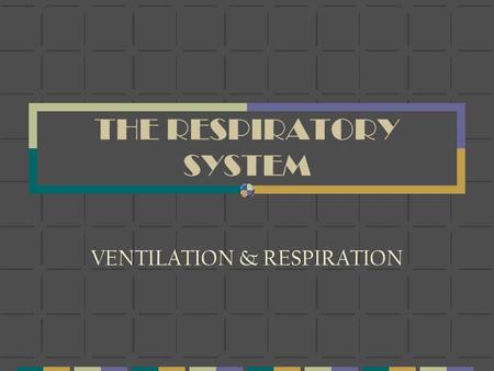 THE RESPIRATORY SYSTEM VENTILATION & RESPIRATION.