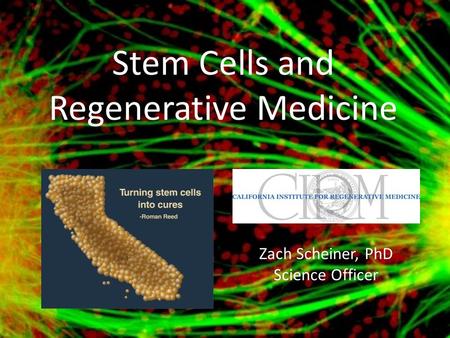 Stem Cells and Regenerative Medicine