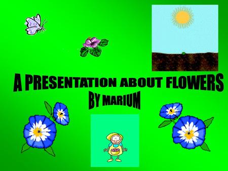 A PRESENTATION ABOUT FLOWERS