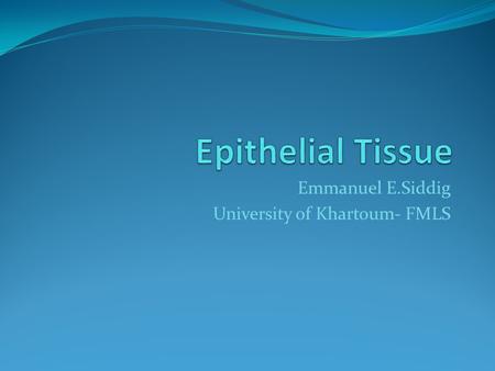 Emmanuel E.Siddig University of Khartoum- FMLS. TISSUES Tissue is group of cells working together for a specific function Types of tissue : 1. Epithelial.