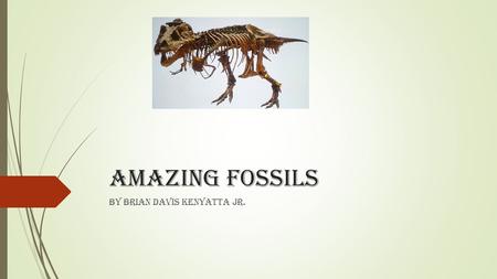 Amazing fossils By Brian Davis Kenyatta Jr.. About this power point  We have reading about fossil hunters and searching for fossils. These are some of.