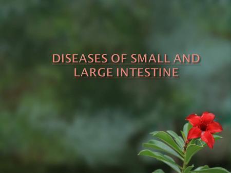  Disease of bowel caused by:  Developmental anomalies ( Hirschsprung Disease)  Vascular Disorders  Diarrheal diseases  Idiopathic inflammatory.