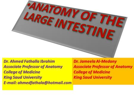 ANATOMY OF THE LARGE INTESTINE