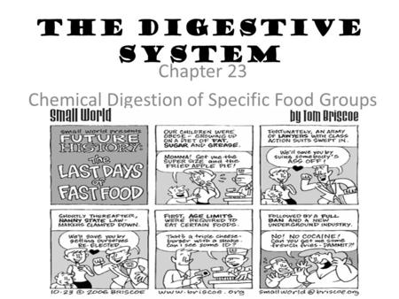 The Digestive System Chapter 23 Chemical Digestion of Specific Food Groups.