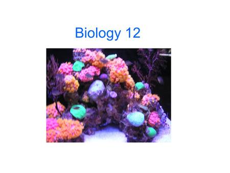 Biology 12. Enzymes are catalysts They speed up reactions.