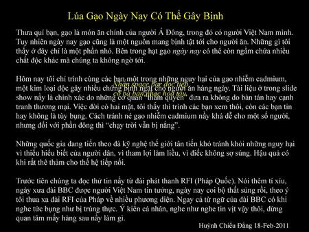 Lúa Gạo Ngày Nay Có Thể Gây Bịnh