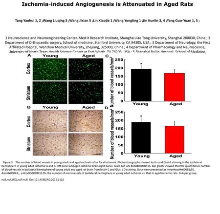 Ischemia-induced Angiogenesis is Attenuated in Aged Rats