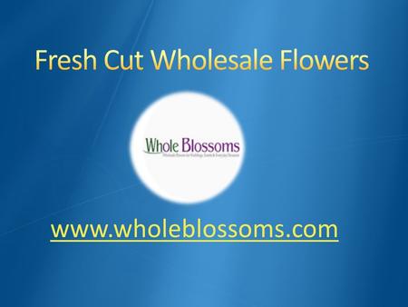 Fresh Cut Wholesale Flowers - www.wholeblossoms.com