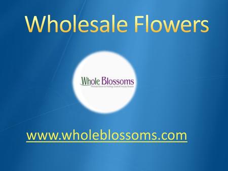 Wholesale Flowers - www.wholeblossoms.com