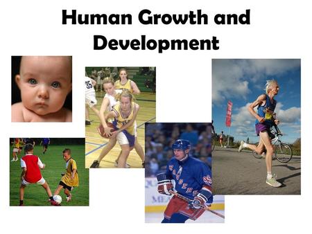 Human Growth and Development