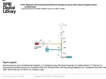 From: Magnetic-field-assisted photothermal therapy of cancer cells using Fe-doped carbon nanoparticles J. Biomed. Opt. 2012;17(1):018003-1-018003-8. doi:10.1117/1.JBO.17.1.018003.