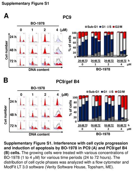 A B PC9 PC9/gef B4 Supplementary Figure S1