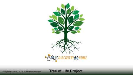 Tree of Life Project © Digitalbiopharm Ltd. 2016 All rights reserved.