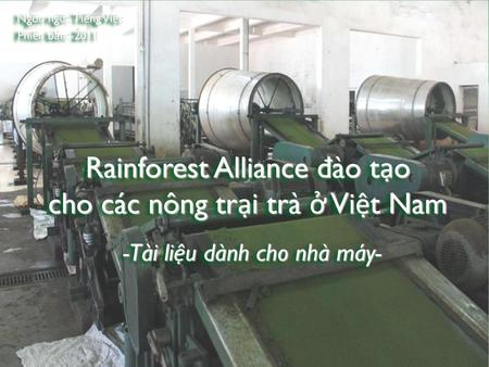 Rainforest Alliance đào tạo cho các nông trại trà ở Việt Nam