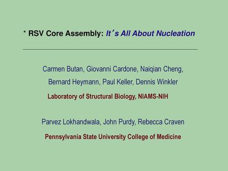 * RSV Core Assembly: It’s All About Nucleation