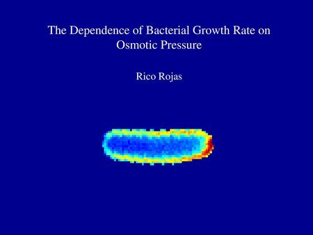 The Dependence of Bacterial Growth Rate on Osmotic Pressure